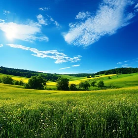 Rolling Hills and Floral Meadow