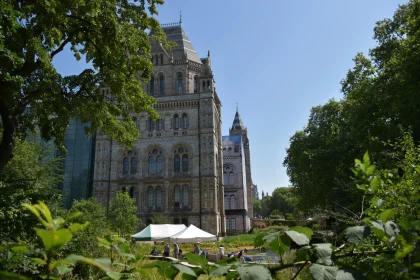 Architectural Landmark in a Green Oasis