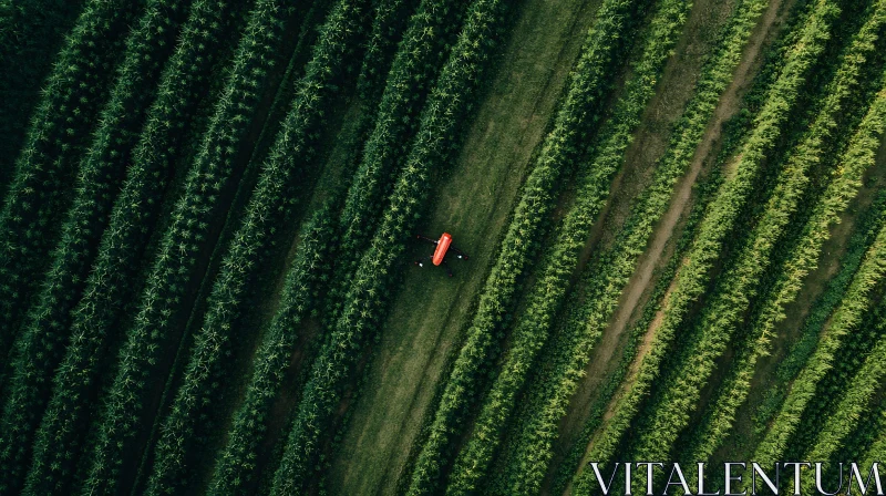 Aerial View of Green Field with Drone AI Image