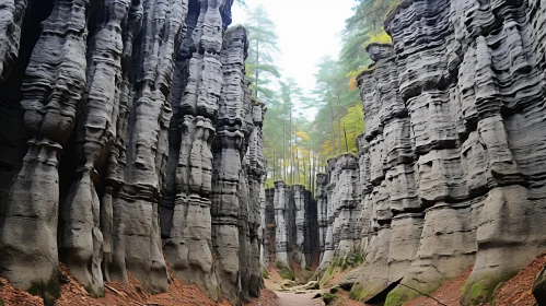 Enchanting Trail through a Narrow Gorge Surrounded by Rock Formations