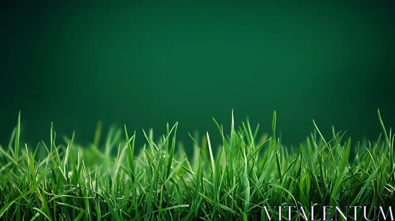 Close-Up of Green Grass Blades AI Image