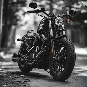 Monochrome Motorcycle Portrait