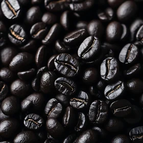 Detailed Image of Coffee Beans