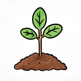 Emerging Sprout: A Symbol of New Beginnings