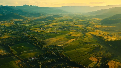 Lush Green Valley and Distant Mountains