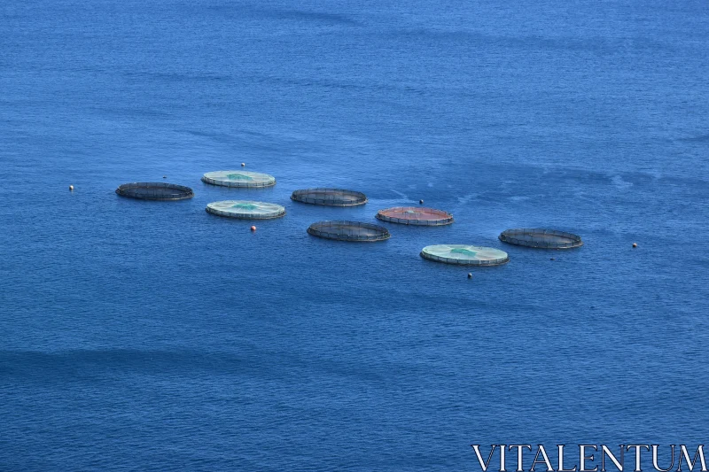 Ocean Aquaculture Cages from Above Free Stock Photo