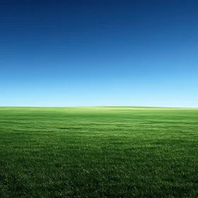 Open Field and Sky Landscape