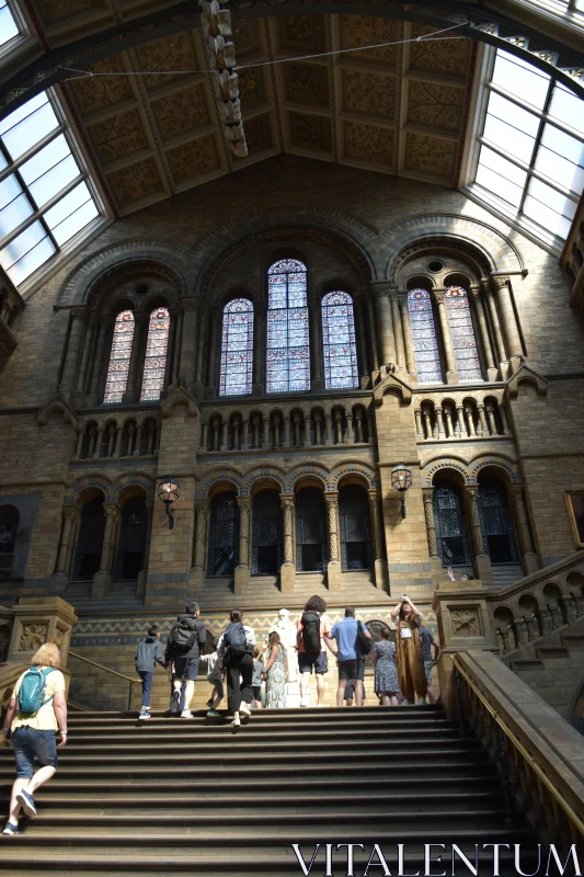 Intricate Architectural Details in a Museum Free Stock Photo