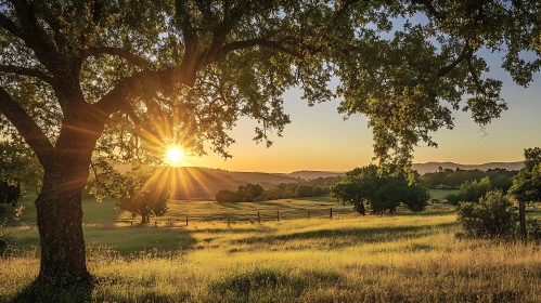 Peaceful Sunset Landscape with Trees