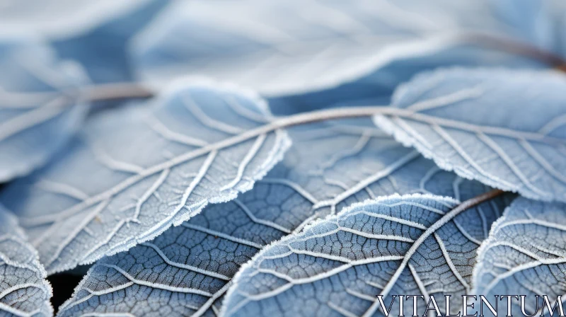 Detailed Study of Frosty Leaf - Nature's Art in Blue Shades AI Image