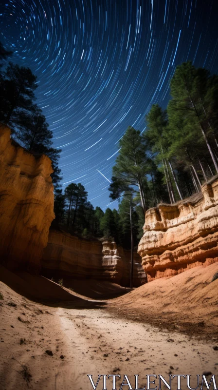 Enchanting Star Trails over Desert and Treed Area | Atmospheric Woodland Imagery AI Image