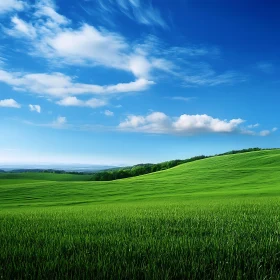 Rolling Green Hills and Cloudy Sky