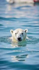 Powerful and Emotive Portraiture of a Polar Bear Swimming in Natural Water