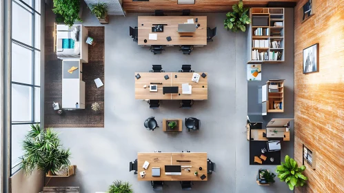 Contemporary Workplace with Natural Elements