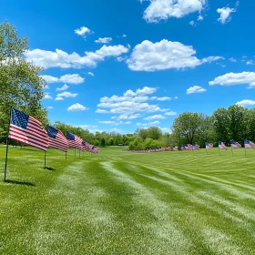 Patriotic Display of Flags on Green Field