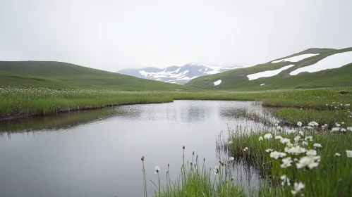 Tranquil Highland Lake with Blossoms and Snowy Mountains