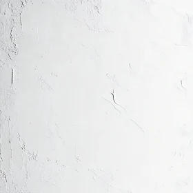 Minimalist White Wall Texture