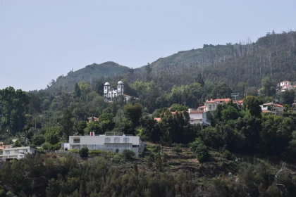 Madeira Hillside Serenity