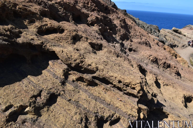 Madeira Coastal Landscape Free Stock Photo