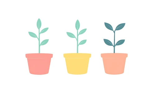 Three Potted Plants