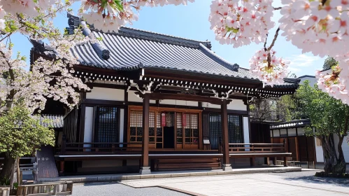 Japanese Temple in Spring