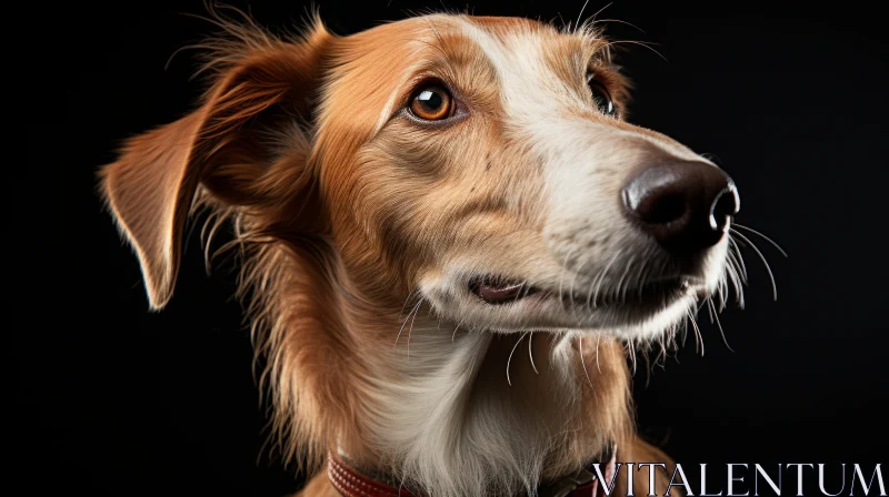 Captivating Canine Portrait in Soft Lighting AI Image