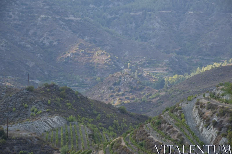 PHOTO Scenic View of a Lush Valley