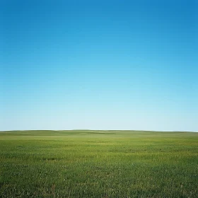 Open Field Landscape with Clear Sky