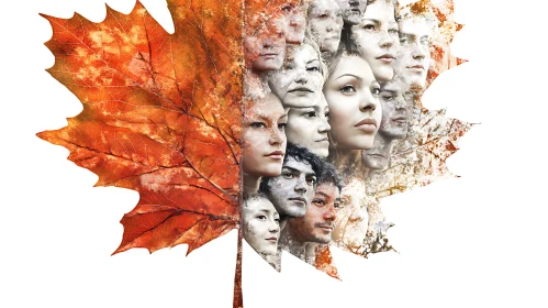 Faces of Autumn: A Leaf's Tale