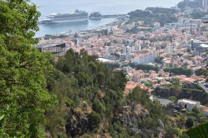 Madeira's Lush Urban and Harbor Landscape