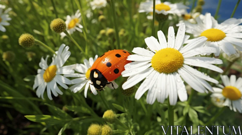 Ladybug on Daisy Stems: A Symbol of Environmental Awareness AI Image