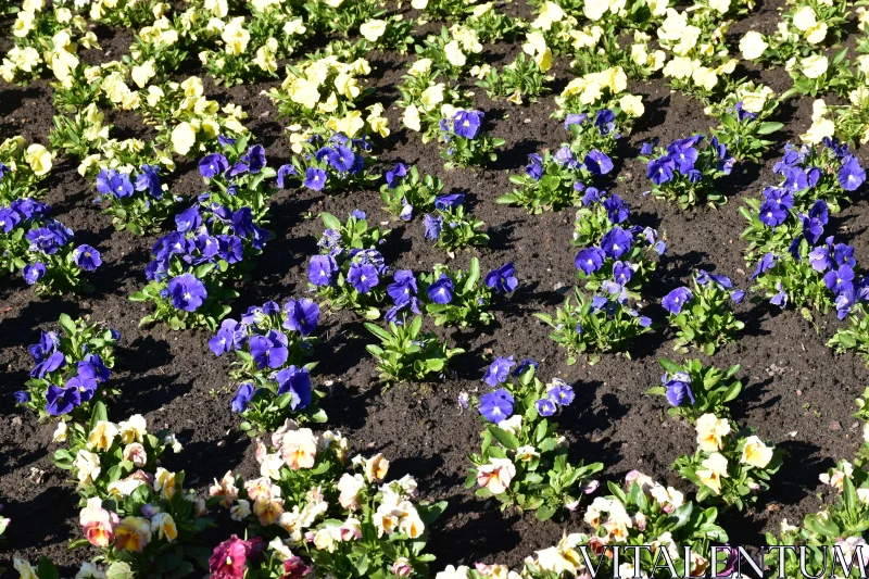 PHOTO Colorful Garden Flower Arrangement