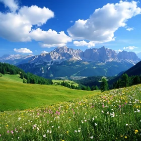 Mountain Landscape with Blooming Meadow