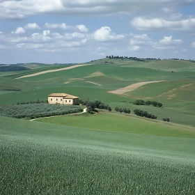 Green Fields and Farmhouse in Tuscany