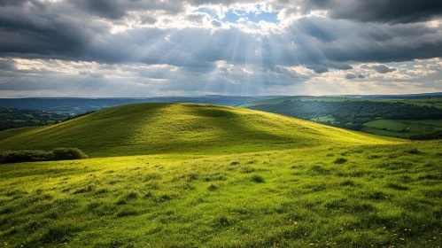 Sunlight on Rolling Hills with Green Meadow