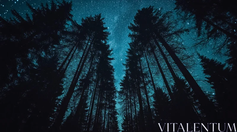 Starry Night Over a Dense Forest