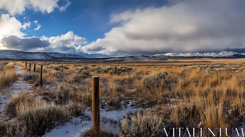 Snowy Field and Cloudy Sky