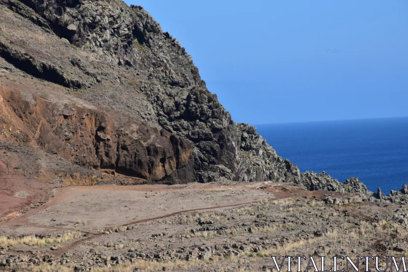 Stunning Madeira Coastal Landscape Free Stock Photo