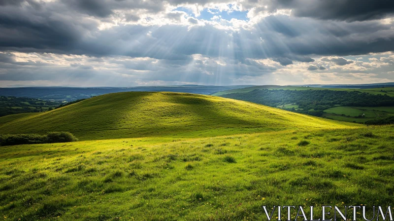 AI ART Sunlight on Rolling Hills with Green Meadow