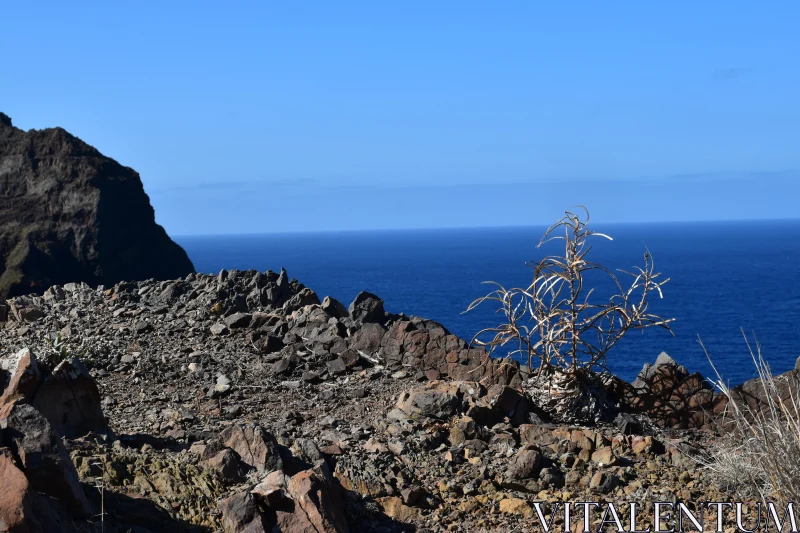 Madeira Coastal Landscape Free Stock Photo