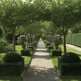 Symmetrical Garden Path with Green Trees