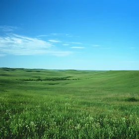 Rolling Green Hills Landscape Photography