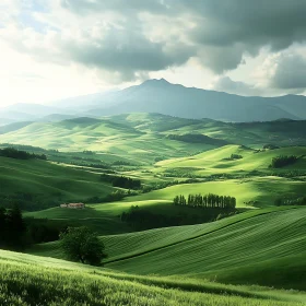 Serene Green Hills Under Cloudy Sky