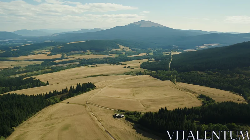 Golden Fields and Distant Mountain View AI Image