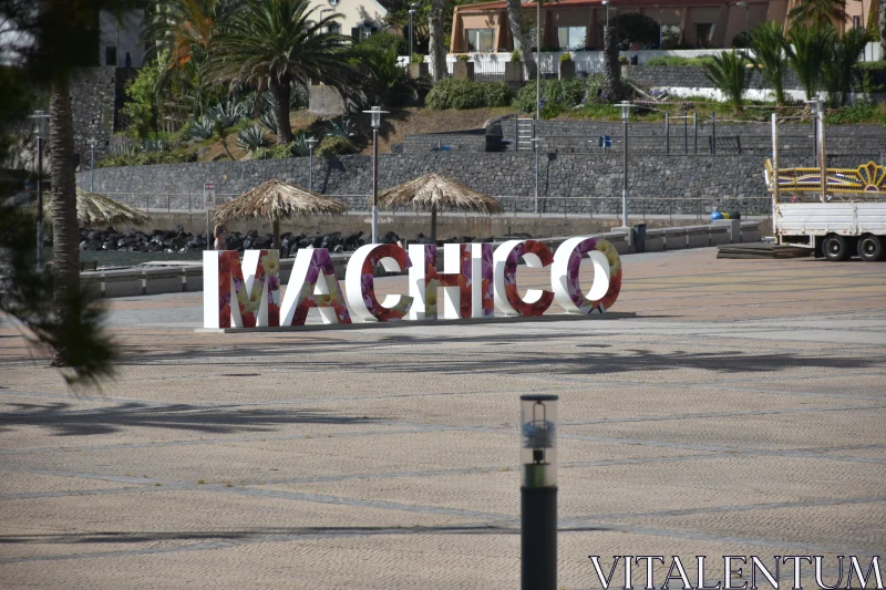 Machico: Scenic Views in Madeira Free Stock Photo