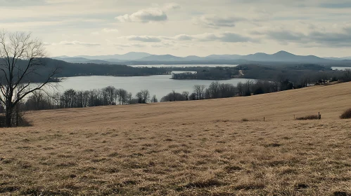 Scenic Lake and Field View