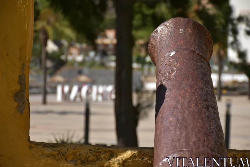 PHOTO Antique Cannon in Urban Landscape