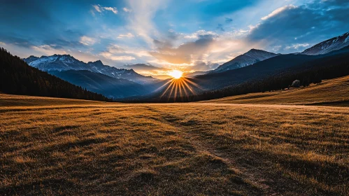 Sunlit Field and Mountain Peaks