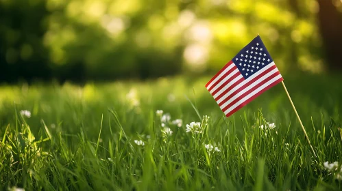 Flag in Field of Flowers