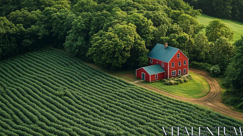 Idyllic Countryside Farmhouse Scene AI Image